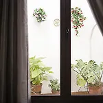 호텔 데 파롤레스