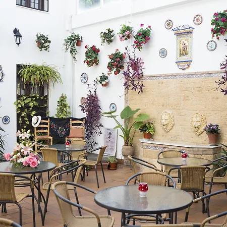 فندق De Faroles قرطبة