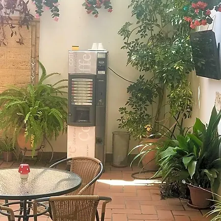 데 파롤레스 코르도바