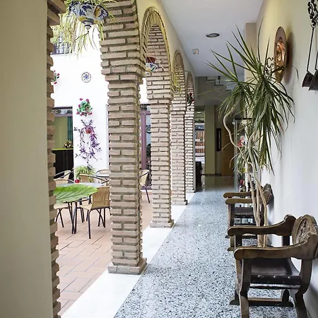 De Faroles Cordoba